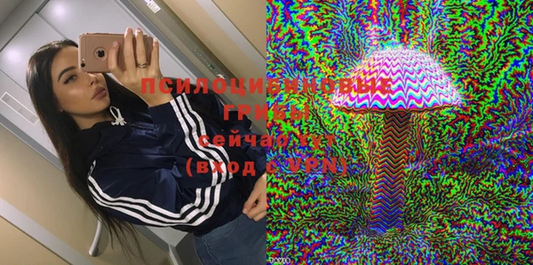 гашик Бородино