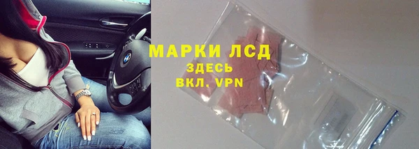 гашик Бородино