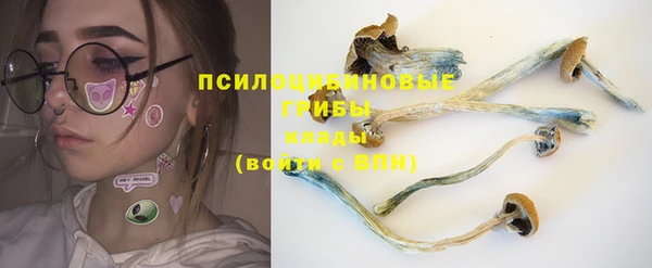 гашик Бородино
