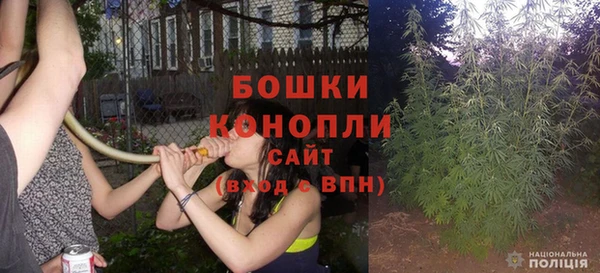 гашик Бородино