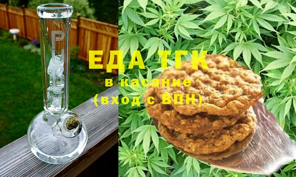 гашик Бородино